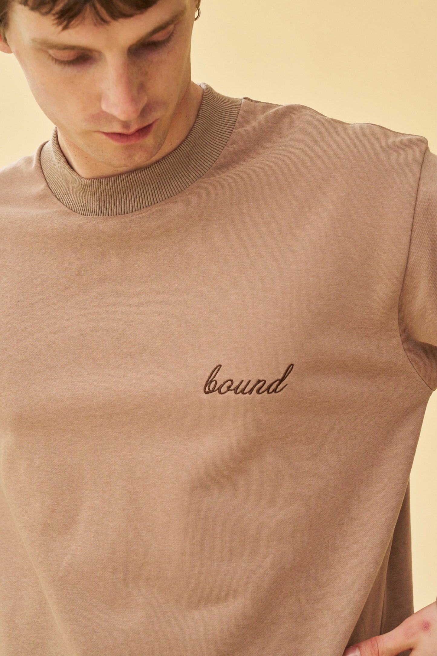 SCRIPT LONGSLEEVE HEAVY TEE - CHESTNUT