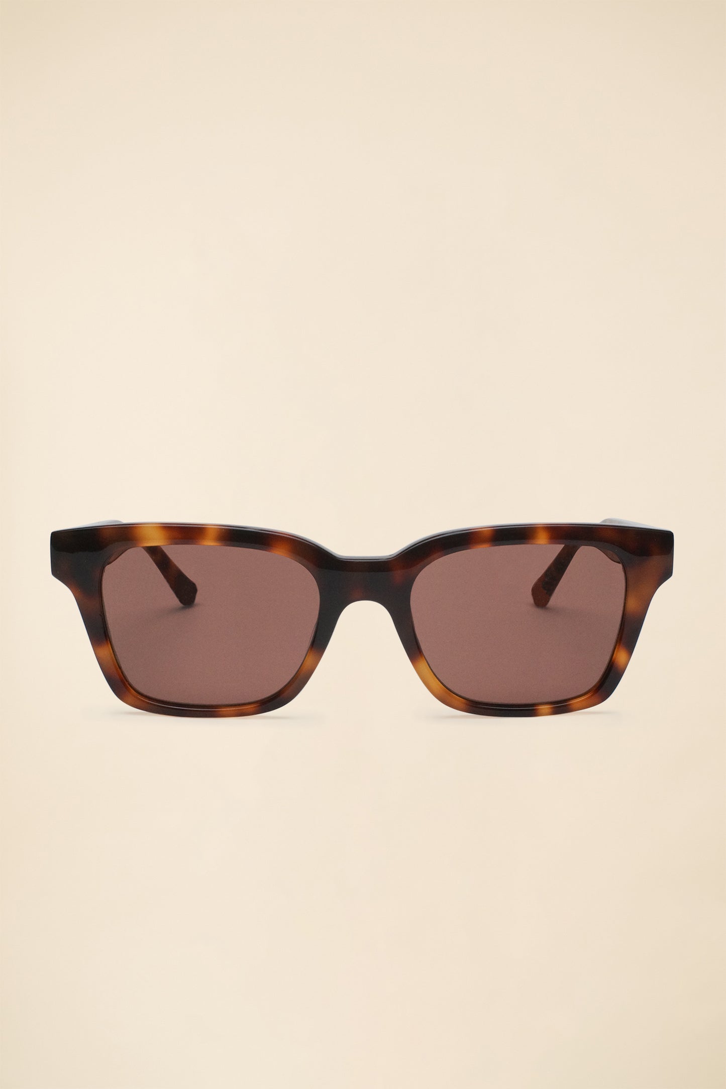 JUDE SUNGLASSES - TORTOISE